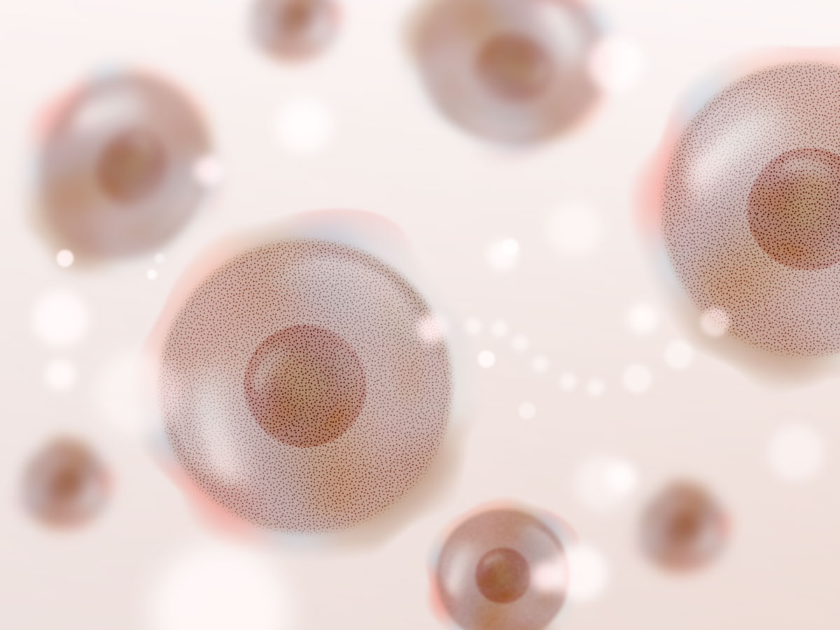 feat0<br />
<b>Warning</b>:  Undefined variable $i in <b>/home/xs171376/reunet.jp/public_html/trial5/wp/wp-content/themes/reutrial/parts/loop_features.php</b> on line <b>20</b><br />
<br />
<b>Warning</b>:  Undefined variable $count in <b>/home/xs171376/reunet.jp/public_html/trial5/wp/wp-content/themes/reutrial/parts/loop_features.php</b> on line <b>20</b><br />
2